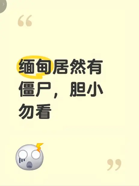 《缅甸僵尸出土事件》视频在线观看-揭秘缅北神秘事件真相-高清完整版免费播放无删减