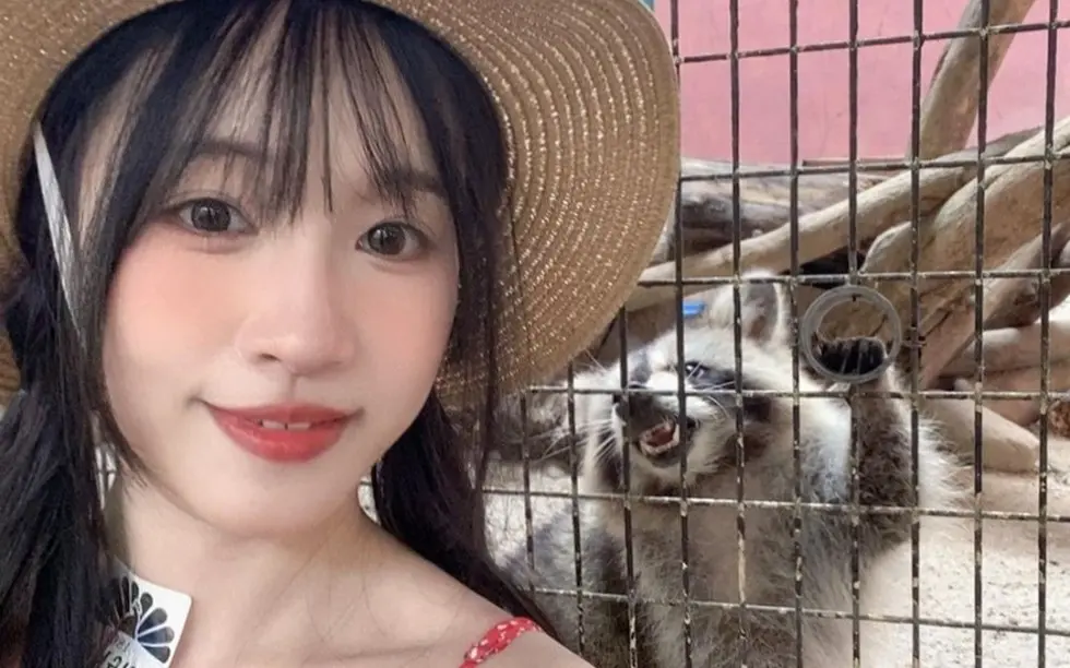 苏畅vlog视频大全高清电视剧1080p观看-在线观看全集免费观看无删减版-VS影视