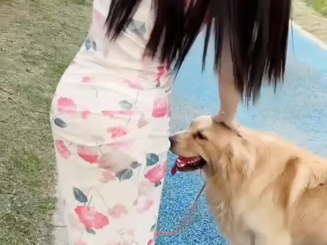 《抖音香香公主与爱犬金毛》完整版在线免费观看-抖音香香公主与爱犬金毛直播回放网盘资源免费领取-高清全集观看