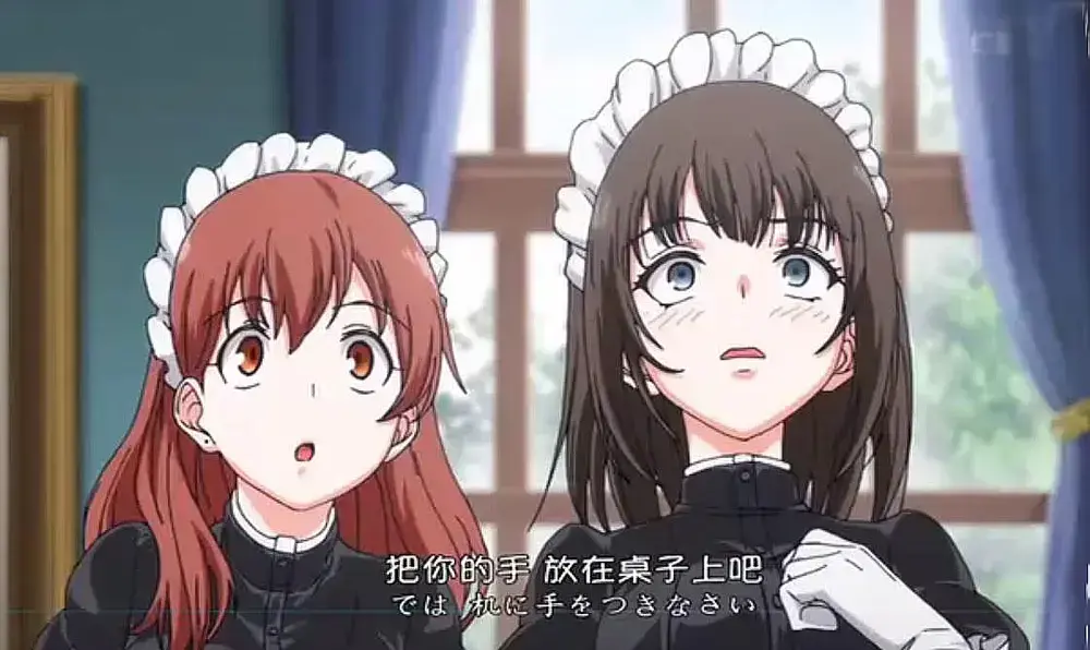 《女仆教育》免费在线观看-全集无广告-VS动漫风车动漫无删减完整版中字版-女仆教育动漫资源