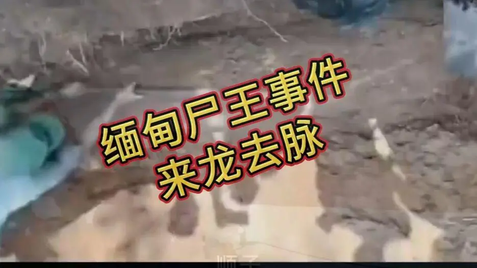 《缅甸僵尸出土事件视频》高清无删减完整版资源下载 - 在线观看免费播放全集 - 缅北僵尸出土事件始末原视频超清录像