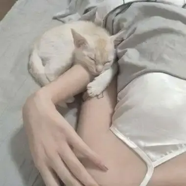 《森泽佳奈》高清全集未删减中文版免费在线观看无广告蓝光资源-森泽佳奈年度现象级作品珍藏版-1080P无水印百度网盘夸克迅雷高速下载